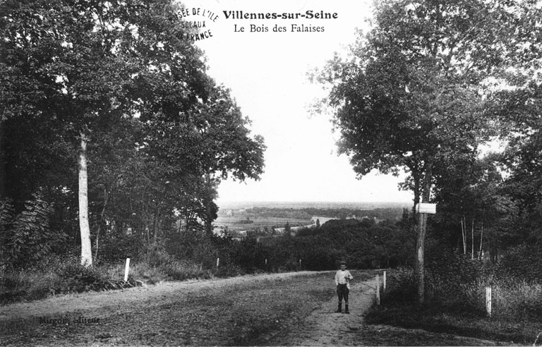 Vue du bois des Falaises avant l'implantation d'un lotissement.