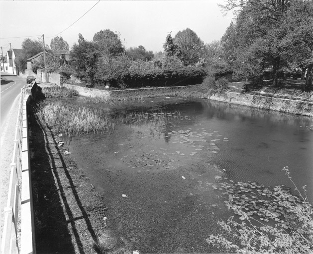 Vue d'ensemble de la mare avec, au fond, l'abreuvoir.