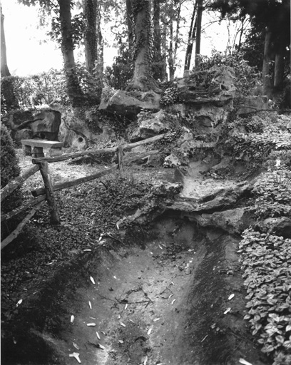 Vue de la partie amont du jardin de rocaille.