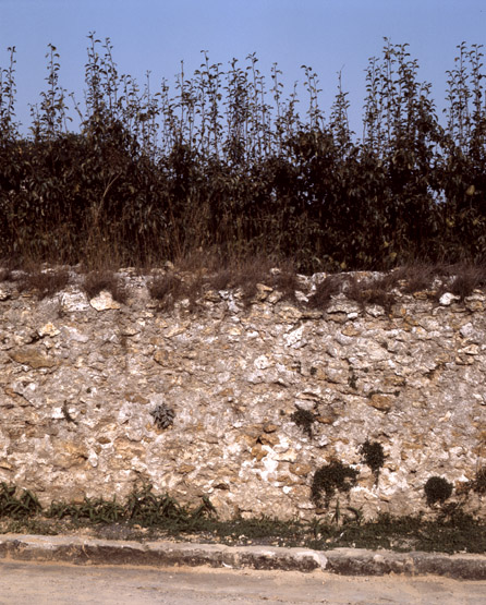 Détail d'un mur de verger en moellons à joints beurrés sur le C.R. 57.