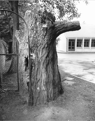 Arbre en ciment cachant le départ d'un escalier en vis menant au théâtre de verdure situé sur une terrasse inférieure.