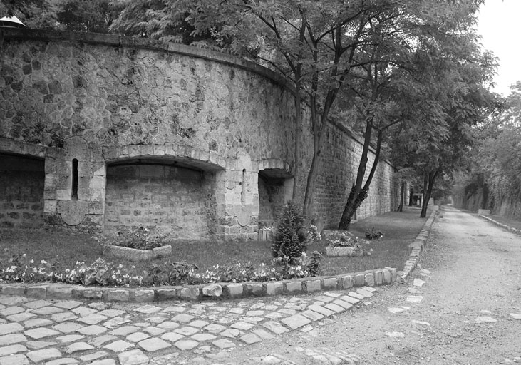 La caponnière.
