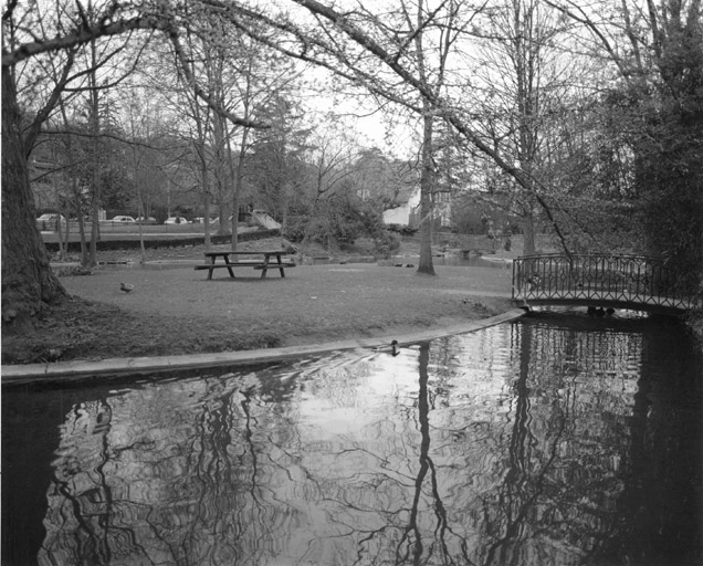 Vestiges du parc à l'anglaise : la pièce d'eau.