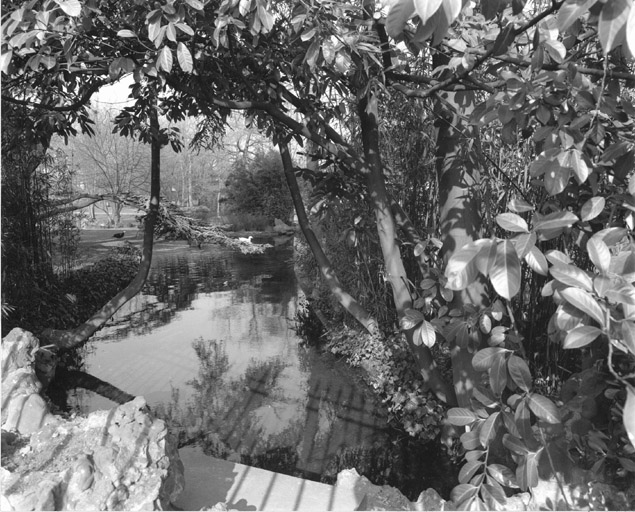 Vestiges du parc à l'anglaise : la rivière.