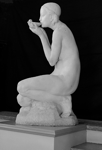 Vue du profil gauche.