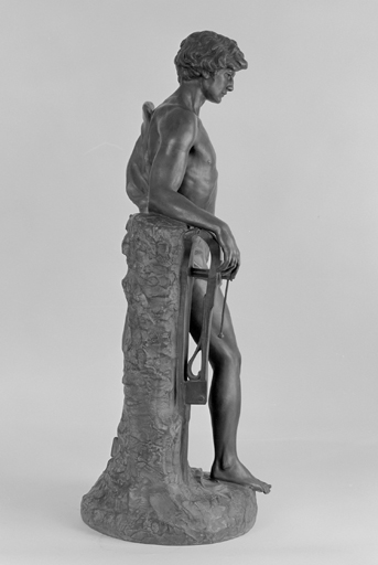 Vue de profil droit.