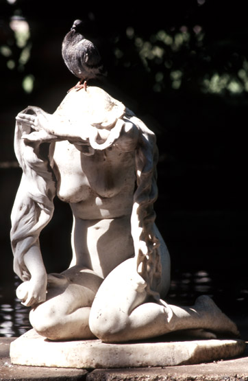 Vue de face.
