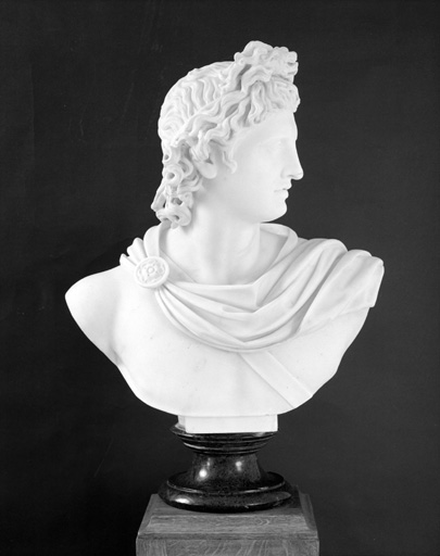 Buste (buste à l'antique) : Apollon du belvédère.
