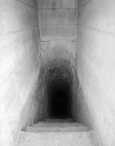 Vue en plongée de l'escalier descendant vers la galerie.