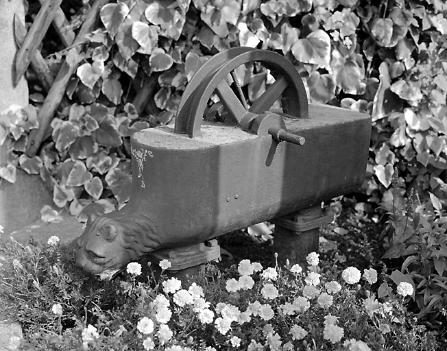 Pompe en fonte peinte.