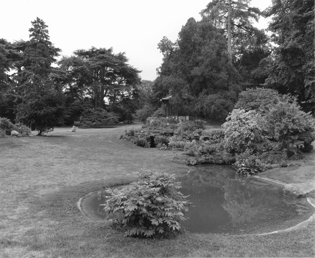 Vue du jardin paysager : plan d'eau, rocaille et kiosque sur la droite et au fond groupe de cèdre du Liban.