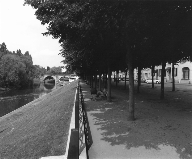 Vue d'ensemble de l'allée de tilleul et de la Seine.