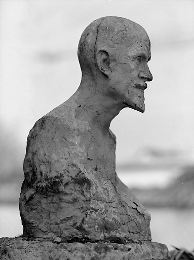 Vue de profil.