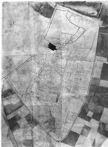 Plan parcellaire de la ville.