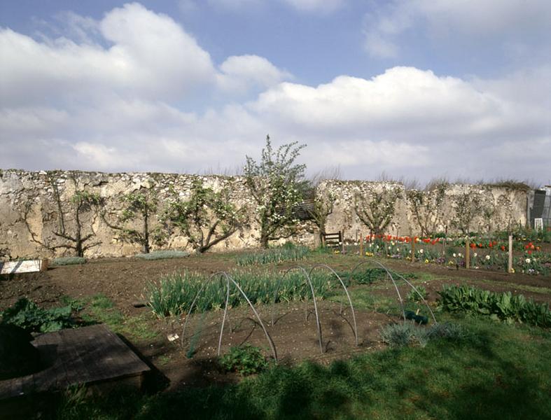 Vue générale de clos transformés en jardins familiaux.