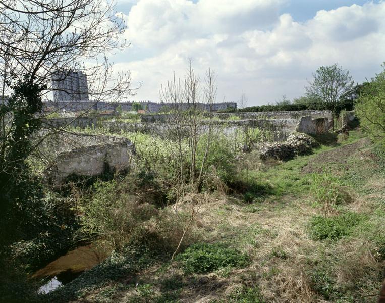 Le quartier Saint-Antoine : vue générale du Rû et de clos plantés de poiriers.