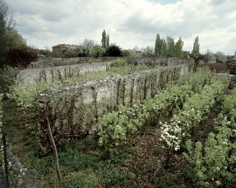 Le quartier Saint-Antoine : vue générale de clos plantés de poiriers.