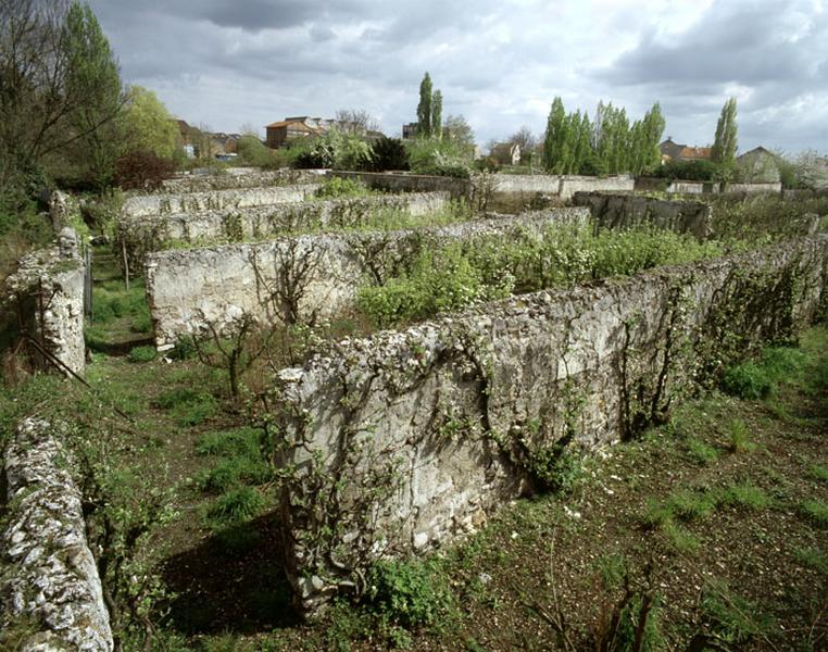 Le quartier Saint-Antoine : vue générale de clos plantés de poiriers.