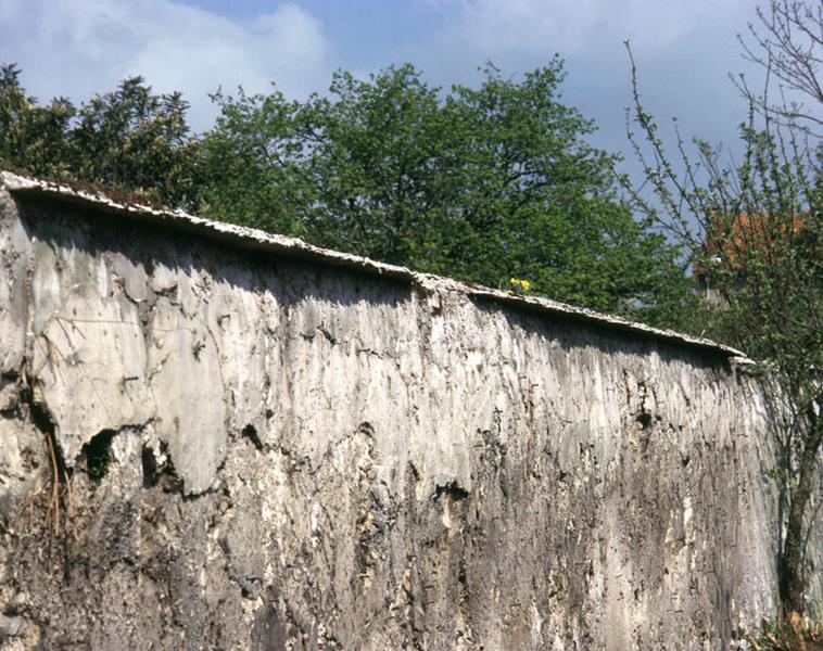 Le quartier Saint-Antoine : vue générale d'un mur avec son chaperon.