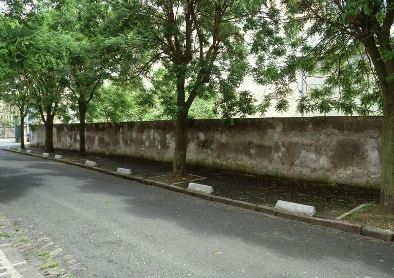 Vue d'ensemble d'un mur en bordure de rue, rue des néfliers.