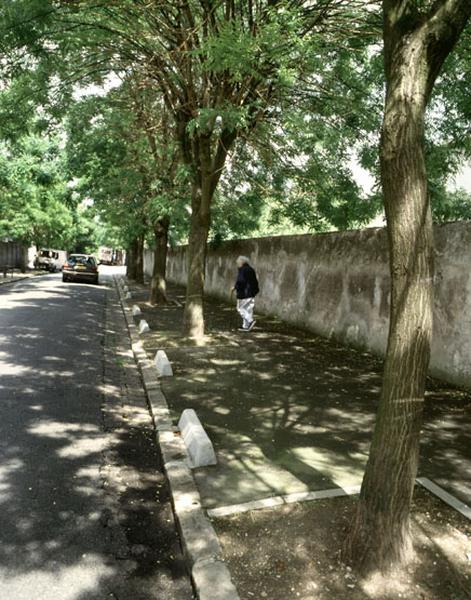 Vue d'ensemble d'un mur en bordure de rue, rue des néfliers.