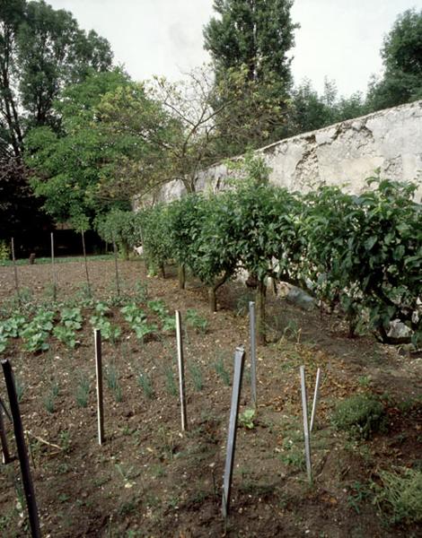 Cultures maraîchères et fruitières dans un jardin familial aménagé dans un ancien clos à pêches.