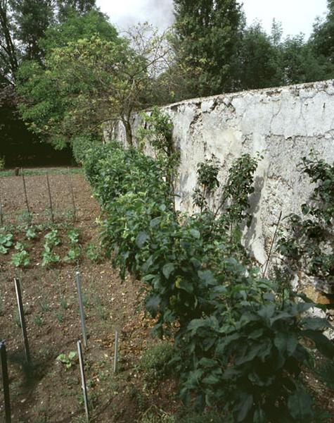 Cultures maraîchères et cultures fruitières en contre-espalier dans un jardin familial aménagé dans un ancien clos à pêches.