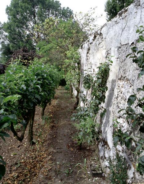 Espaliers et contre-espaliers dans un jardin familial aménagé dans un ancien clos à pêches.