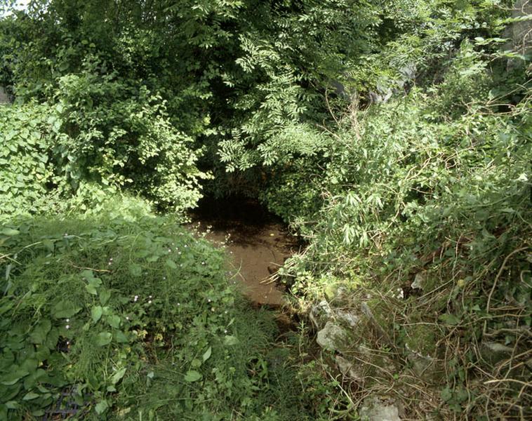 Vue d'ensemble de la source du rû Gobétue.