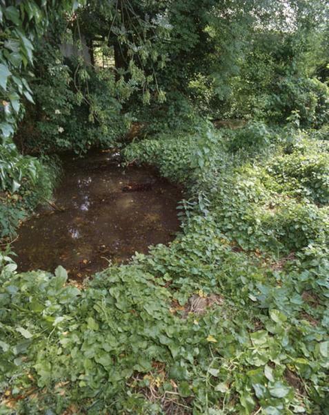 Vue d'ensemble de la source du rû Gobétue.