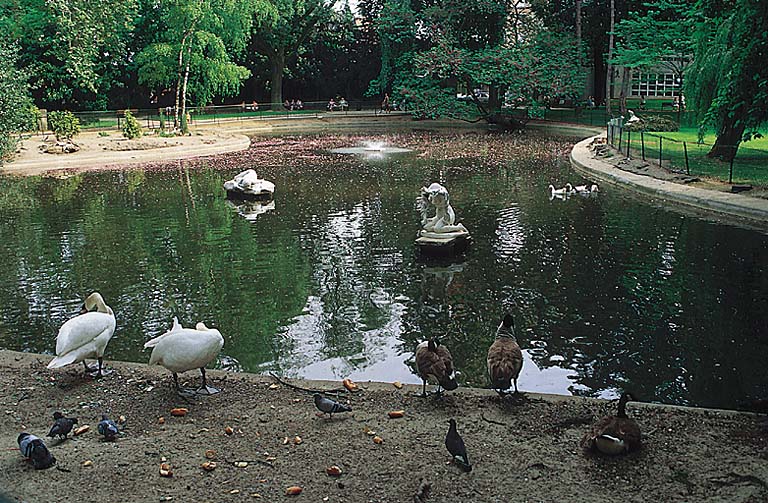 Vue du miroir d'eau du parc de la mairie et de ses sculptures.