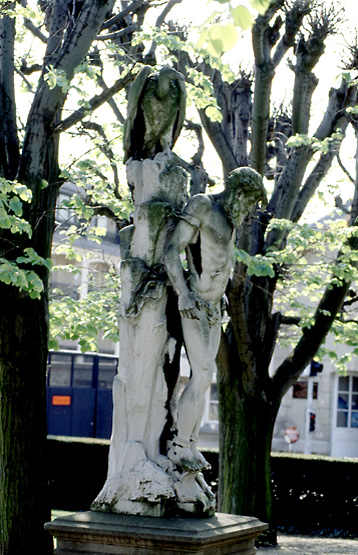 Vue du profil droit.