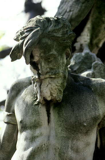 Détail du visage.