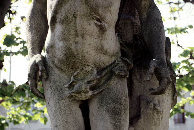 Détail du foie.