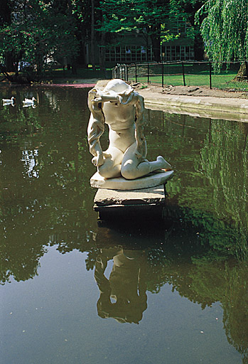 Vue de face avec son reflet dans l'eau.