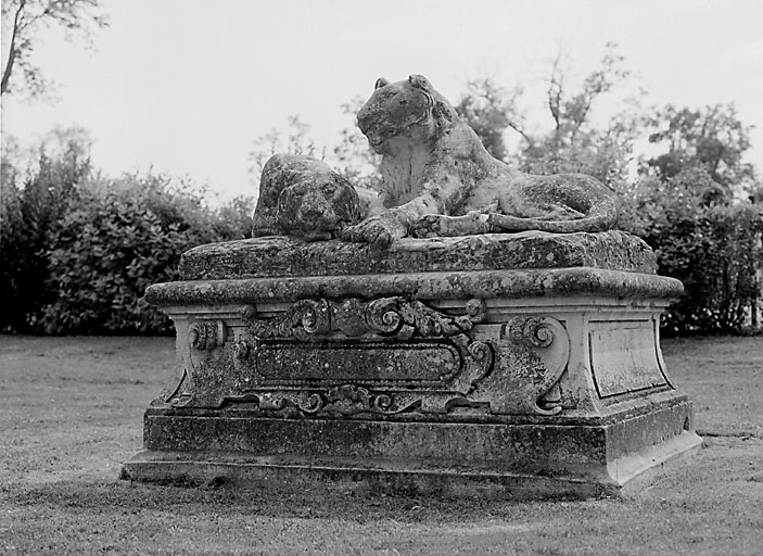 Vue d'ensemble du couple de panthères.