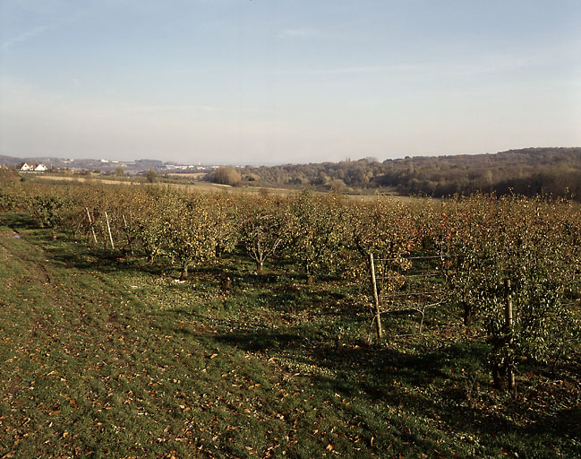 Vue des vergers vers Orgeval.