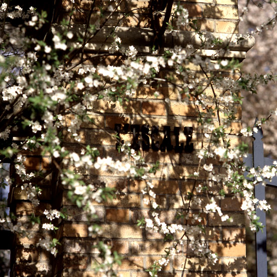 Détail du nom de la villa 'L'escale' sur le portail