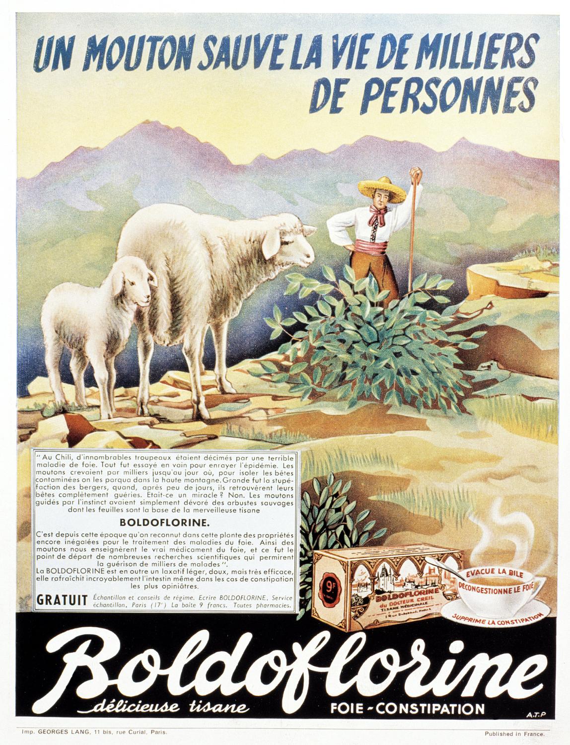 Affiche publicitaire en couleur pour la Boldoflorine "un mouton sauve la vie de milliers de personnes". Coll. Fouché. Il s'agit des premières publicités de l'entreprise, pilotées par le docteur René-Paul Fouché, d'ou leur caractère scientifique, avant la collaboration avec Publicis, à la fin des années 30. Présence du docteur Creil, personnage inventé pour les besoins de communication de l'entreprise et qui disparaitra avec Publicis.