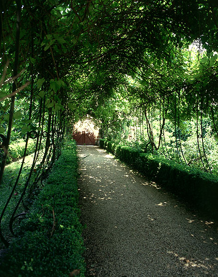 Vue de la treille du jardin