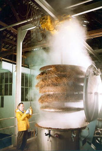 Bâtiment B, grand laboratoire. Extracteur de 3000 litres, les plantes épuisées sont retirées de la cuve après infusion. Vers 1998.