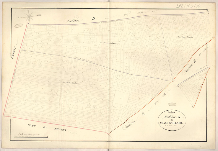 Cadastre napoléonien : Section D du Champ Gaillard, 1ère feuille.