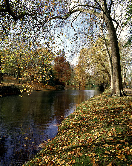 Vue d'ensemble du plan d'eau du parc.