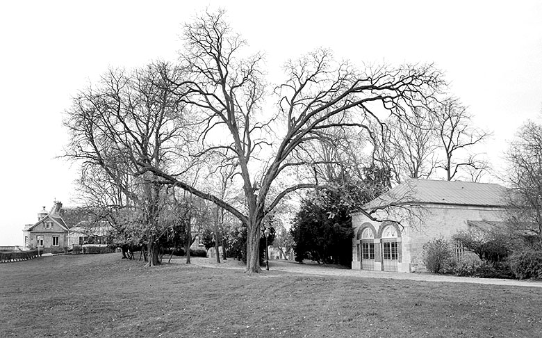 Vue d'une ancienne grange devenue 'salle Bouyssel'.