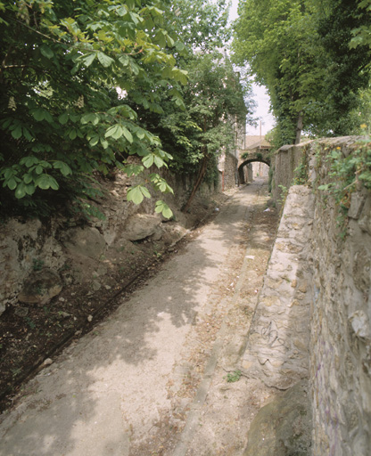 Vue d'ensemble, entre les parcs de la mairie (ou d'Avaucourt) et du château d'Athis. Le pont en pierre a remplacé une passerelle en bois construite en 1828 par la baronne de Crussol pour réunir sa propriété d'Avaucourt à celle qu'elle venait d'acquérir de M. Serres de Prat.