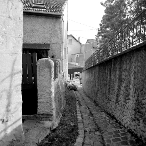 Vue de la sente pavée située entre la rue de la Montagne-de-Mons et la rue Robert-Schuman, en direction du lavoir de Mons.