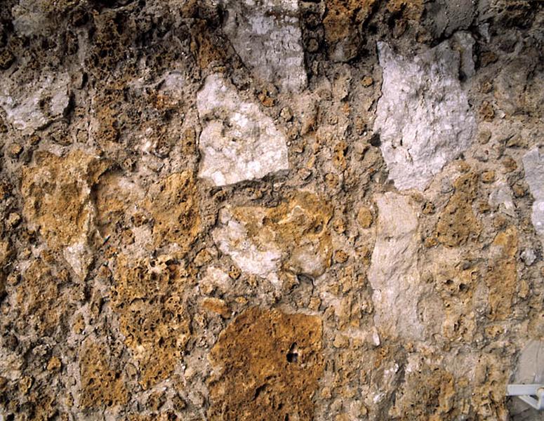 Vue de l'appareil de meulière rocaillée du mur de clôture.