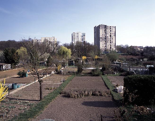 Vue sur les jardins ouvriers de l'Almont, avec les tours des Mézereaux dans le fond.