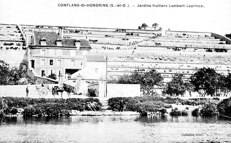 Jardins fruitiers : murs des établissements Lambert à Gaillon.