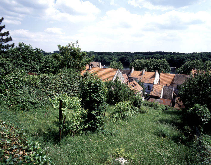 Vue des maisons du quai de la République depuis la ruelle du Gouffé. Vestiges de vignes.